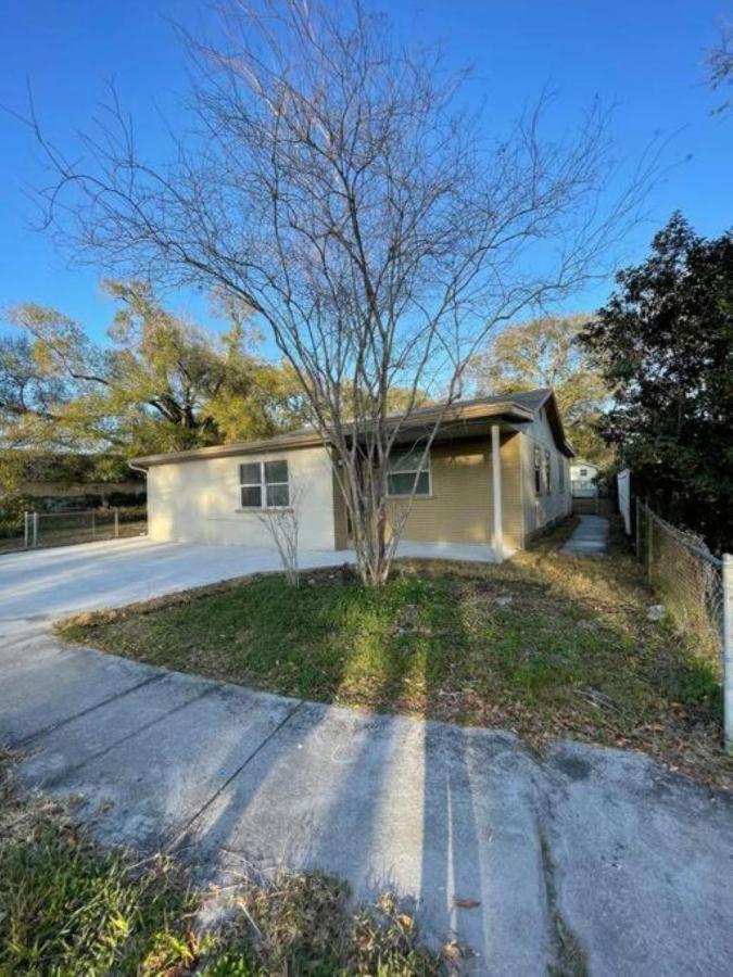 Cheerful Home Minutes From The Airport And Raymond James Stadium! Tampa Ngoại thất bức ảnh